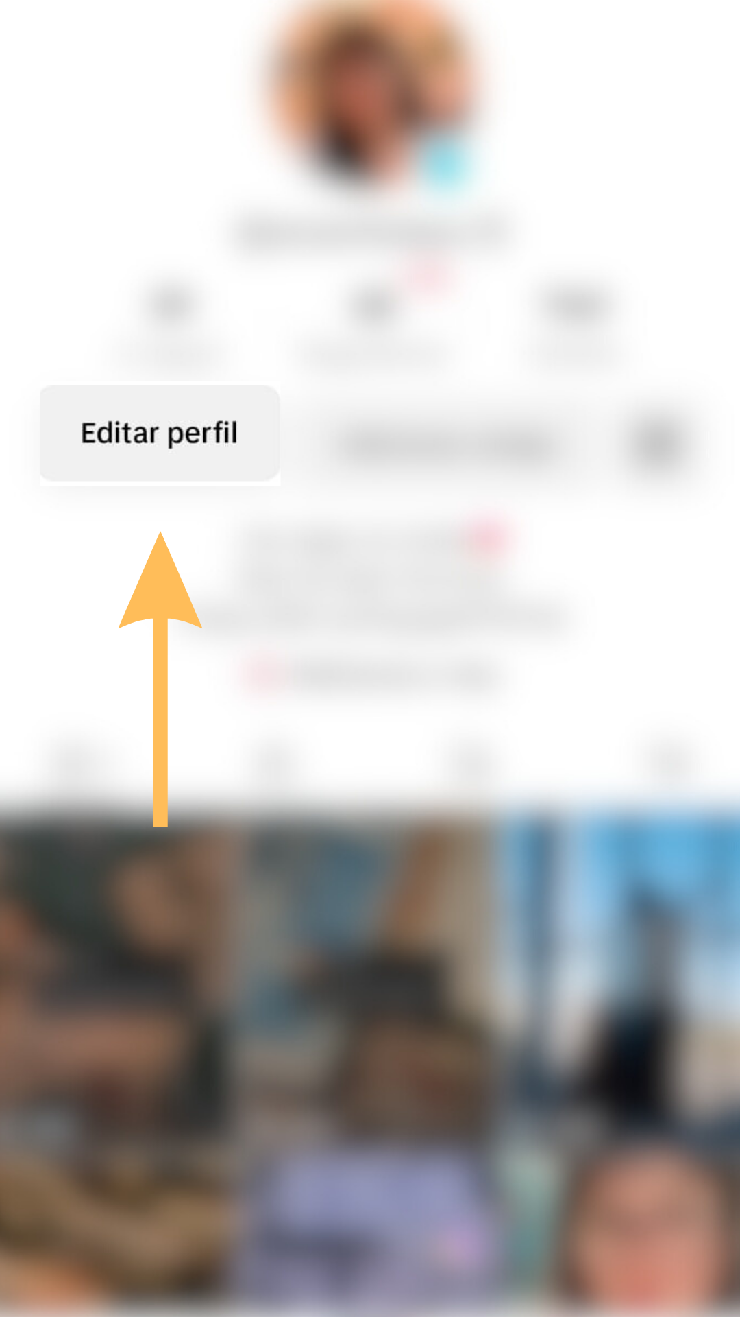 editar perfil editar perfil