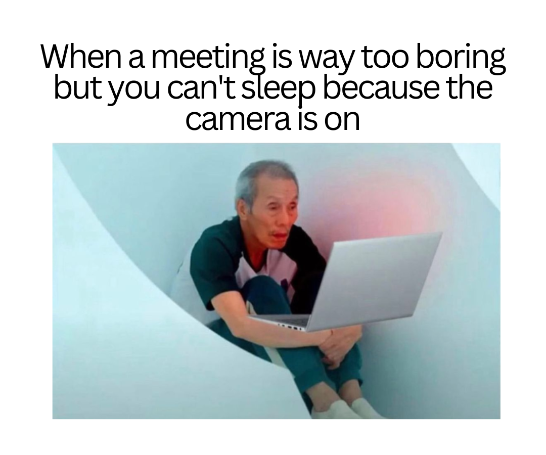 Work meeting memes - When your camera is on