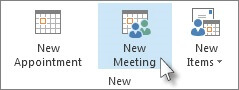 choose "New Meeting."