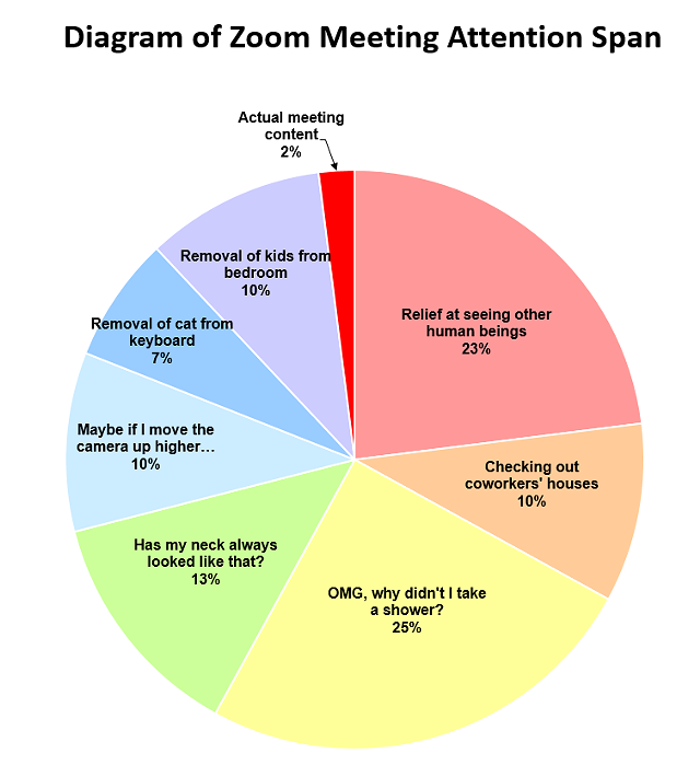 Work meeting memes - Zoom meeting attention span diagram