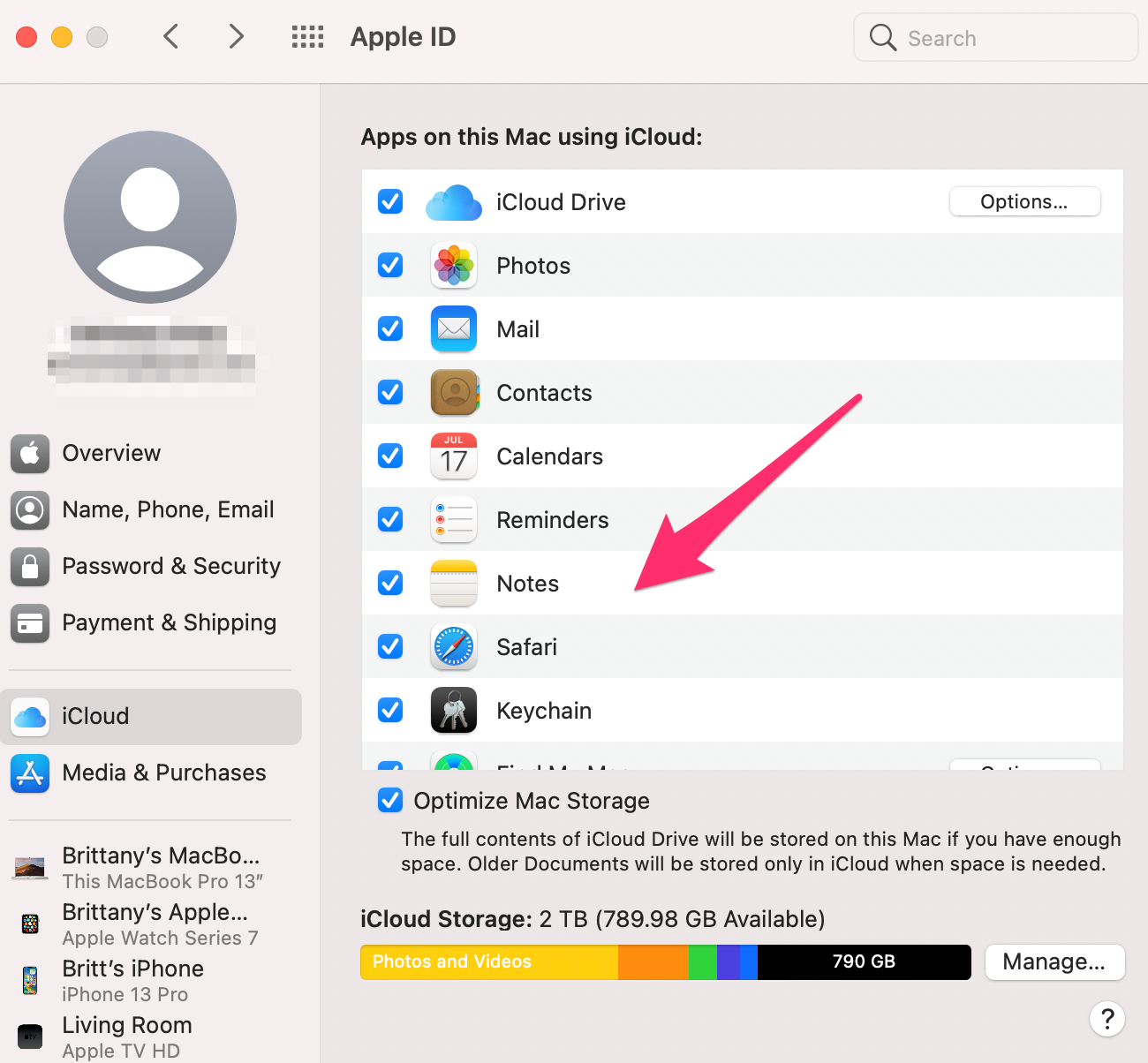 Sync notes from iPhone to Mac - Enable notes option in the iCloud settings