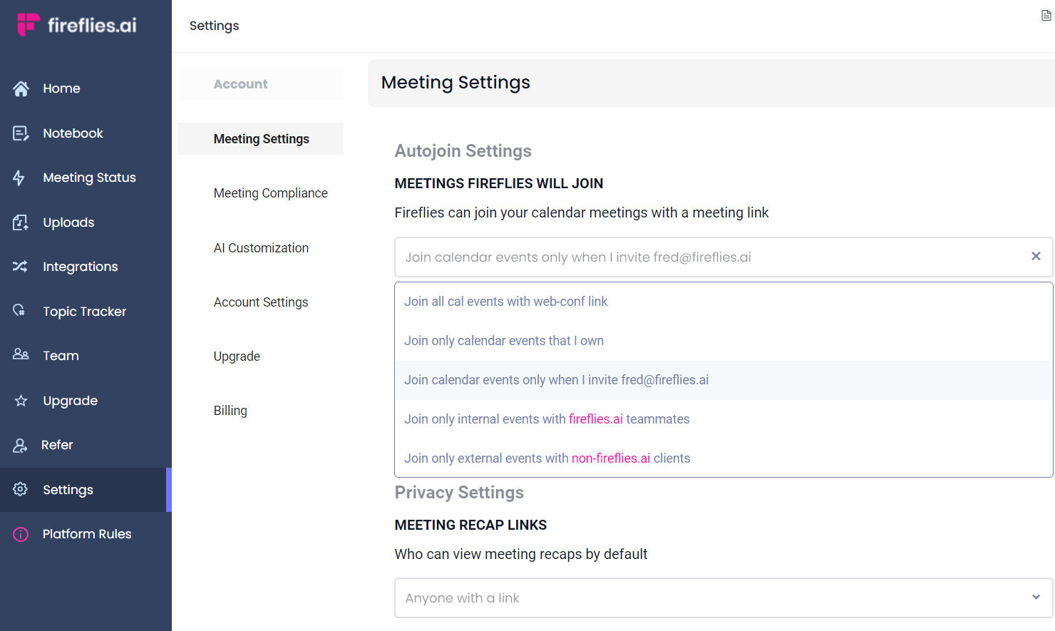 Fireflies meeting settings