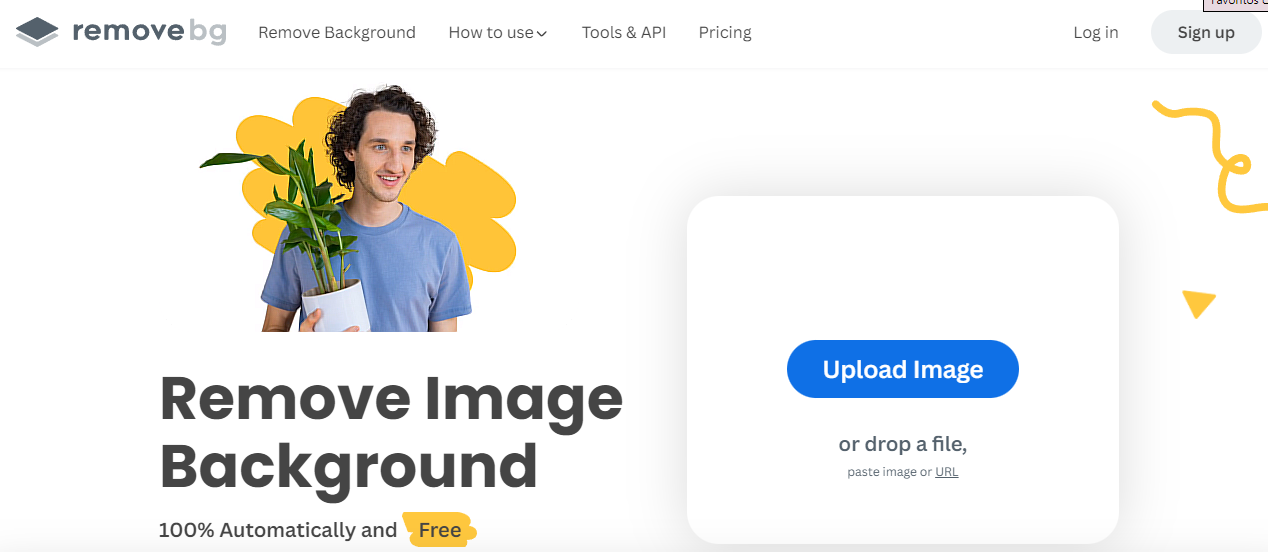 remove bg remove bg